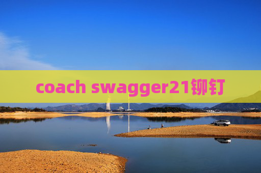 coach swagger21铆钉